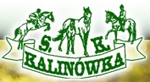 docen_polskie_KALINOWKA_logo