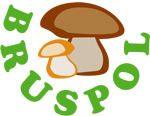docen_polskie_bruspol_logo