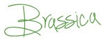 docen_polskie_brassica_logo