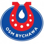 docen_polskie_bychawa_logo