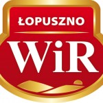 docen_polskie_WIR_logo