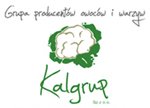 docen_polskie_Kalgrup_logo